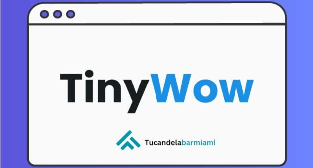 TinyWow 